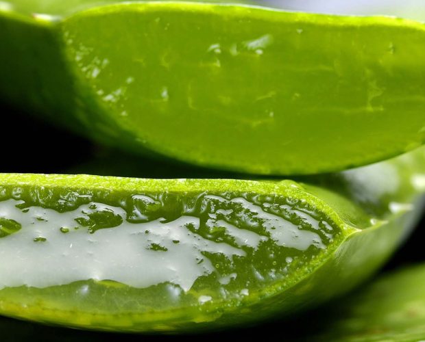 Acerca del Aloe Vera como ingrediente en los productos Abilia