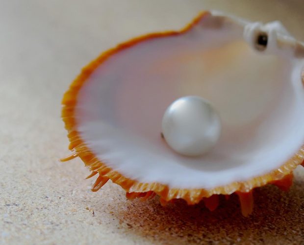 Acerca de la Perla de Nácar como ingrediente en los productos Abilia