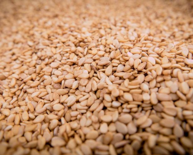 Acerca del Sésamo como ingrediente en los productos Abilia
