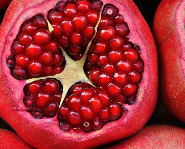 Acerca de la Consuelda como ingrediente en los productos Abilia