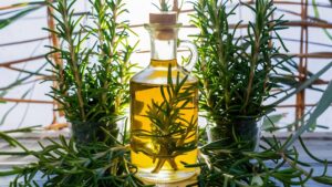 Romero (Rosmarinus officinalis)